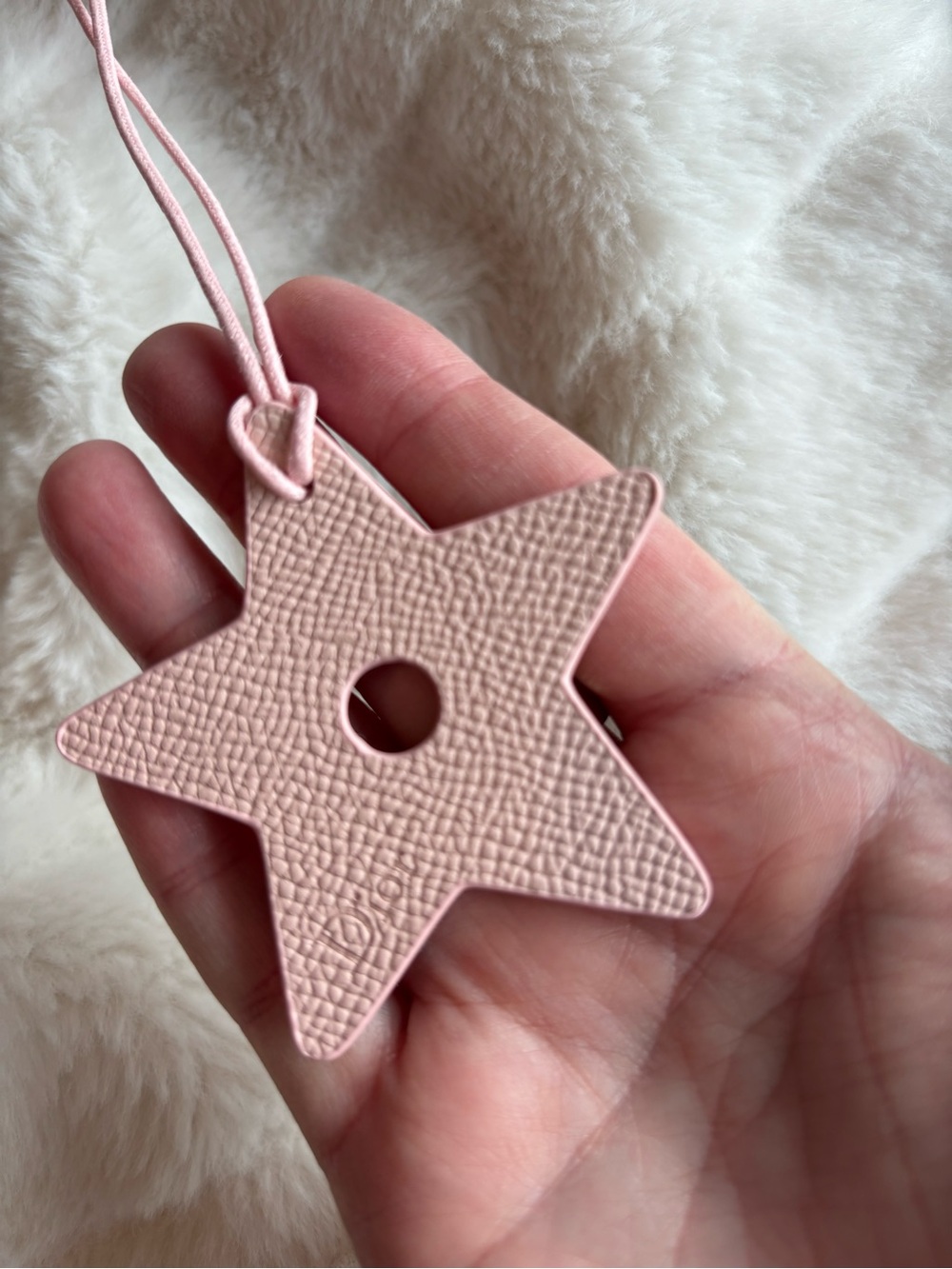 Dior Christian Dior Star Pendant Leather Bag Charm in… - Gem